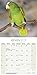 Amazon Parrot Calendar - Parrot Calendar - Bird Calendars - Calendars 2017 - 2018 Wall Calendars - Monthly Wall Calendar by Avonside