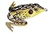 Lunkerhunt - Lunker Frog Fishing Lure | Award Winning Realistic Topwater Frog Lure for Fishing Bass, Trout and Pike | Freshwater Fish Bait with Hollow Body, Weedless Hooks