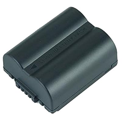 Replacement Battery for Panasonic CGR-S006A/1B Digital Camera (1200mAh, 7.4V, Li-Ion)