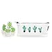 Dulcii Students Canvas Pencil Case Pen Bag Pouch,Super Large Capacity School Stationary Case,Cactus Pattern