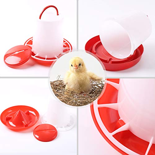 Anjing Futterautomat Hühner 3 kg und Hühnertränke 3l, Futterspender Hühner und Tränke Set für Hühnerfutter,Automatische Wassertränke,Hühner Futtertrog Set,Zubehör Zucht, Farming – Bild 5