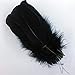 Sowder Natural Goose Feathers Clothing Accessories Pack of 100(Black)