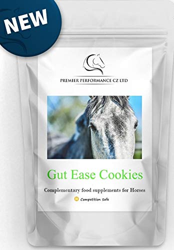 Premier Performance CZ Horse/Pony Gut Ease Cookies - 10 pack Supplement
