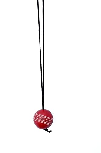 White Leather Cricket Hanging Ball for Practice and Bat