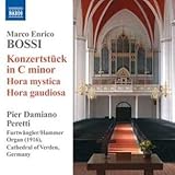 ORGAN MUSIC:KONZERTSTUCK IN C MINOR                image