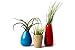 Hinterland Trading Small Ceramic Vase Set with Air Plants