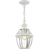 Livex Lighting 2152-03 Monterey 1-Light Outdoor Hanging Lantern, White