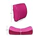 LOVEHOME Lumbar Pillow for Chair and Car, Back Support for Office, Memory Foam Cushion with Mesh Cover - Pink