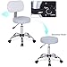 Rolling Stool Chair Adjustable Swivel Office Desk Chair with Back and Wheels for Office,Home,Shop,Spa in Grey