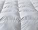 Luxury King Size White Goose Feather Down Comforter,All Seasons Duvet Insert 600 Thread Count Soft 100% Organic Cotton Cover Down Proof,Medium Warth Cozy Duvet with 8 Corner Tabs