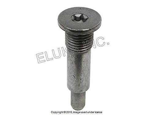 BMW Mini Genuine Bolt - Timing Chain Guide Rail Coop.S JCW Cooper S Coop.S JCW Cooper S Coop.SX JCW Cooper S Cooper SX C