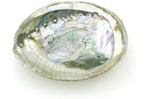1Pc 4-4.5 Inch Colorful Large Abalone Shell Bowl Natural Smudge for Sage Burning and Incense Sea Shell Smudging Bowl for Deco