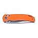 Ganzo G7533 Folding Hunting Pocket EDC Handle Knife (Orange)