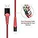 BORSVAEN iPhone Charger Cable MFi Certified, Nylon Braided Charger Cord Compatible iPhone Xs, Max, XR, X, 8 Plus, 8, 7 Plus, 7, 6 Plus, 6, 6S Plus, iPad and More (RED)