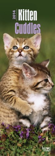 Kitten Cuddles 2014 Slim Calendar