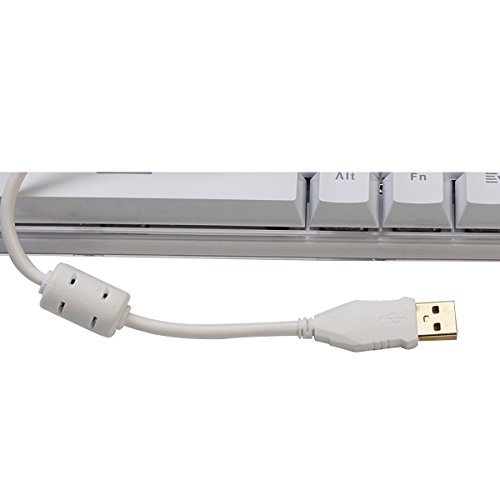 Qisan Mechanical Gaming Keyboard 100% Full Size 108 Keys Keyboard Cherry MX Blue Switch Wired Keyboard Backit Keyboard White Magicforce