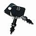 Stens 430-894 Delta Ignition Key