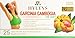 HYLEYS Tea Garcinia Cambogia Green Tea Original Flavor - 25 Tea Bags (12 Pack - 300 Tea Bags Total)