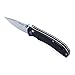 Ganzo G7531 Folding Pocket Knife 440C Stainless Steel Blade G10 Anti-Slip Handle with Clip Hunting Fishing Camping Folder Outdoor EDC Knife (Black)