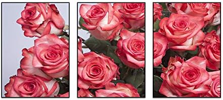 40x60センチメートル お買い得品 3 黒 アルミ合金フレーム装飾画 ピンクのバラ 花束 いくつかの花 アートパネル 壁掛け絵画 壁画の壁面装飾 玄関 部屋飾り 壁飾り インテリアアート 客間レストラン 絵画 壁ポスター 現代 壁掛け 40x60センチメートル お買い得品 3 黒 アルミ合金フレーム装飾画 ピンクのバラ 花束 いくつかの花 アートパネル 壁掛け絵画 壁画の壁面装飾 玄関 部屋飾り 壁飾り インテリアアート 客間レストラン 絵画 壁ポスター 現代 壁掛け