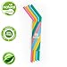 Reusable Drinking Straws With Collapsible Silicone Cup and Small Replacement Straw ToGo