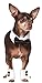 Rubie's Pet Bowtie and Cuff Set, Medium/Large