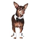 Rubie's Bowtie and Cuff Set Pet Accessories, Small/Medium