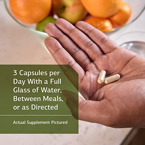 Standard Process Collinsonia Root Whole Food Vascular Supplement