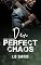 Livro Den (De Férias com Perfect Chaos)