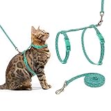 PUPTECK Cat Harness with Leash Set - Adjustable Soft Strap with Fashion Design