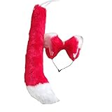 Anime Party Lolita Cosplay Costume Black Fox Cat