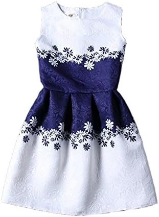 worlsky fashionable Womens White Contrast Blue Porcelain Print Flare Sleeveless Vintage Floral Dress 5025X-Large