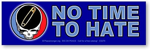 NO TIME TO HATE - Safety Pin Steal Your Face Color Sticker