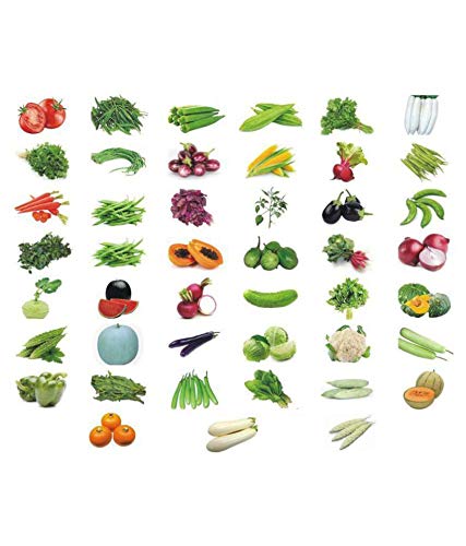 Rosemary Combo Vegetable Seeds (Pack of 45) For Terrance And Kitchen Gardening