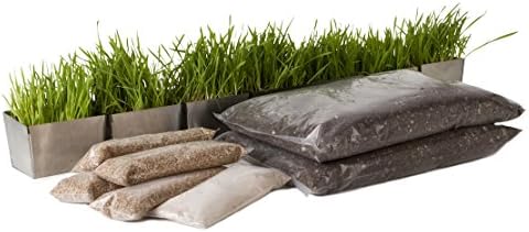 Starter Wheatgrass Kit - Daily Tray Edition
