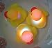 Electronix Express Pack of 5 Light-Up Rubber Duckies - Illuminating Color Changing Rubber Ducks