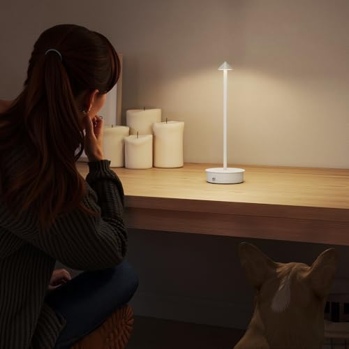 Juego de 2 Lámparas de Mesa Recargables por USB Regulables Blanco