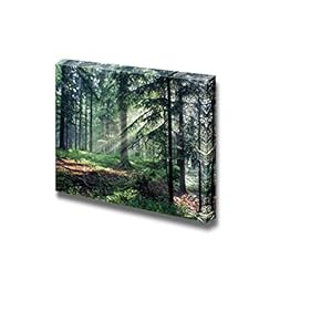 Sunny Morning in The Forest with Sunbeams Shining Through The Trees - Canvas Art Wall Art - 12" x 18"