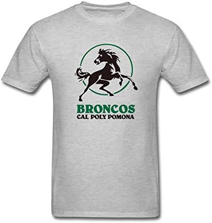 JDShirt Men's Cal Poly Pomona Short Sleeve T-Shirt Large Grey