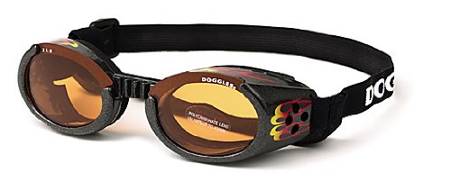 送料関税無料 その他 Doggles ゴーグル レーシングオレンジ 曇り止め加工 紫外線カット ケース付き Xl Xl レーシングオレンジ 犬用 サングラス シルバー L ドグルズ B000hvt62u 安心の定価販売 Www Aiq Aiq Com Mx
