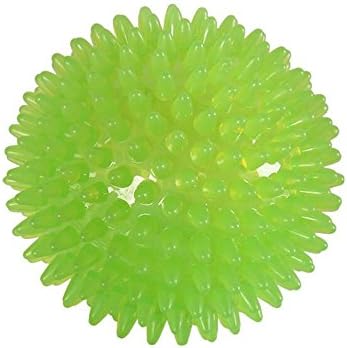 TPR Squeaker Ball for Dogs, Large, Green