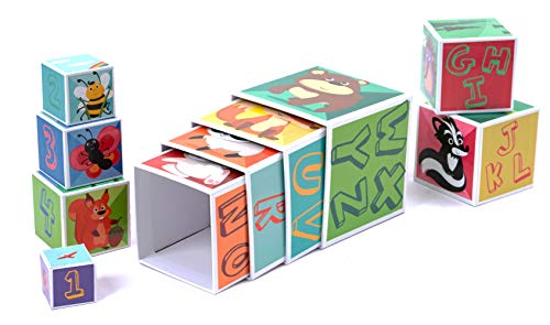 CRUISTORE Cardboard Nesting and Stacking Blocks Set | 10 Pcs of Blocks with Animal、Plant、Numbers、Letters | Development Stacking Games for Kids Toddlers