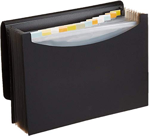 Rojdeal Expanding File Folder, Letter Size (Fits A4 Paper) – Black – with 13 Pockets (Pack of 1)