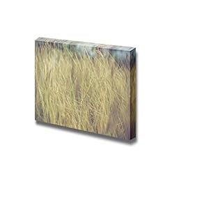 Vintage Photo of Grass Flower Field in The...