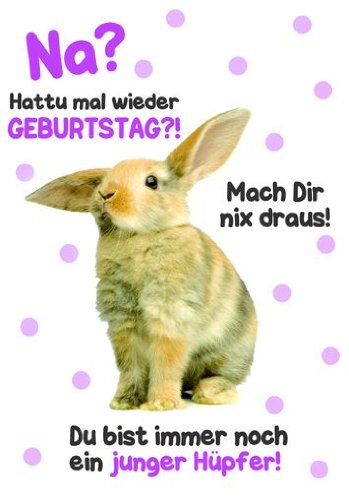 Karte Geburtstag Motiv Tierisch Gut Drauf Lustig Freche