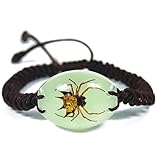 Adjustable Glow In The Dark Lucite Bracelet w/ REAL Spiny Spider
