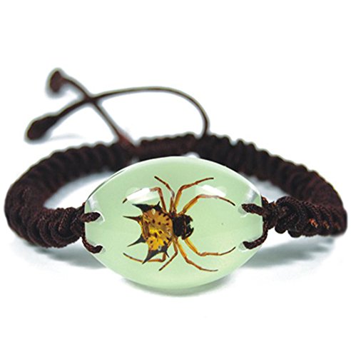 Adjustable Glow In The Dark Lucite Bracelet w/ REAL Spiny Spider