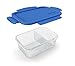 Bentgo Glass Snack (Blue) – 2-Compartment Bento-Style Glass Food Storage for Snacks and Small Meals | Ideal for Meal Prep, Leftovers, and Portion Control – FDA-Approved, BPA-Free, Food-Safe Materials