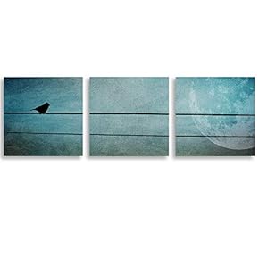 3 Piece Canvas Wall Art Brids Painting Artwork for Home Prints Framed - 12"x12"x3 Panels