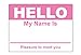 100 PCS, Pink Hello My Name is Stickers - 2.3 x 4 Inch, Tag Stickers Identification Badges for Conferences, Offices and Schools - 1 Roll of 100